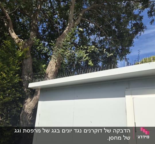 התקנת דוקרנים נגד יונים על שפת גג של מבנה